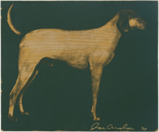 Medium Dogs (2/3) by Joe Andoe at Maune Contemporary