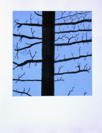 Now I’m Free by Daryl Waller at Kip Gresham Editions