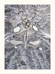 Orca Was I by Jules Buck Jones at Flatbed Press and Gallery