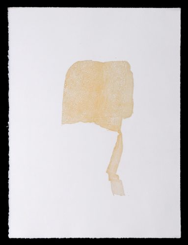 Bonnet by Linda Ridgway at