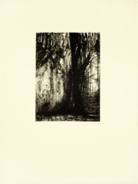 The Forest by Henry Moore at Petersburg Press