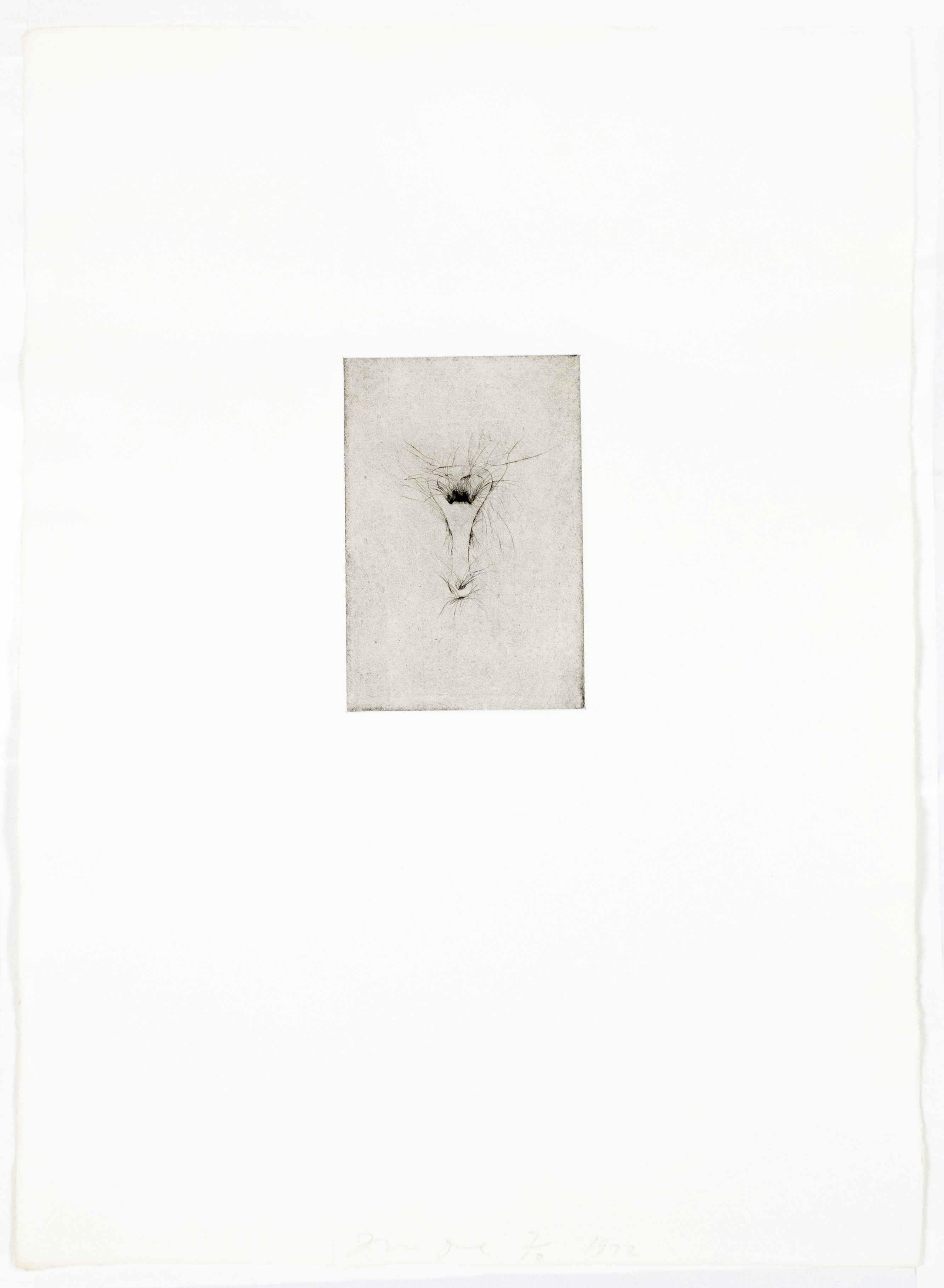 Tool Drypoint: Bottle opener by Jim Dine