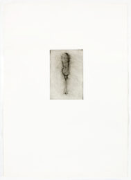 Tool Drypoint: Weed Puller by Jim Dine at Petersburg Press