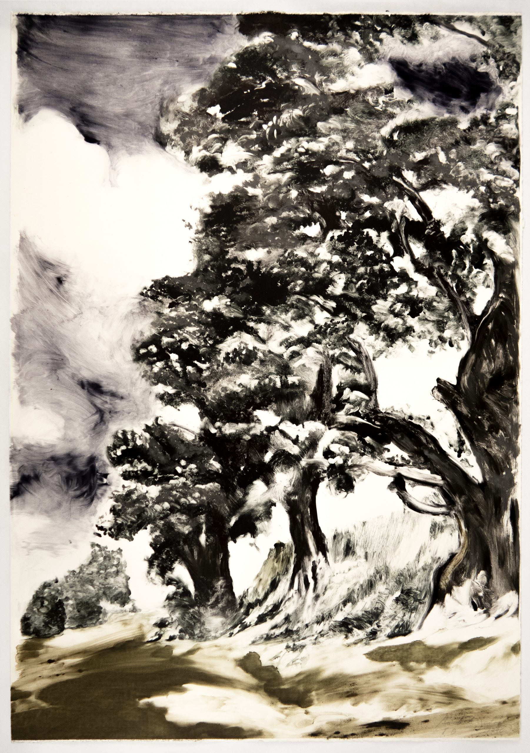 What I discovered in Greenwich Park by Michele Zalopany