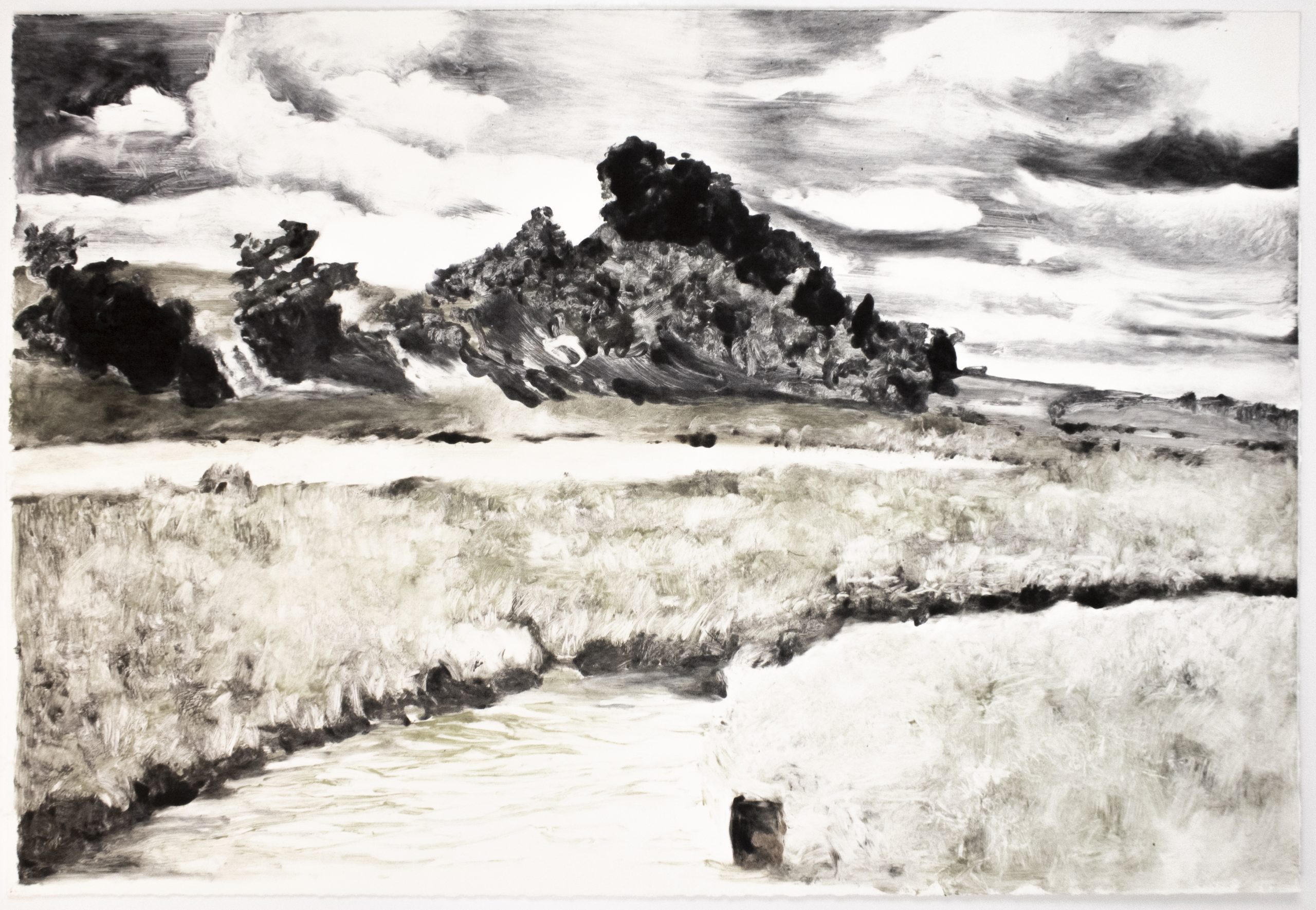 Landscape by Michele Zalopany
