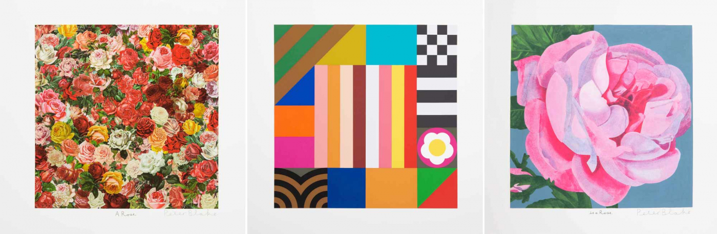 A Rose, is a Rose, is a Rose by Peter Blake
