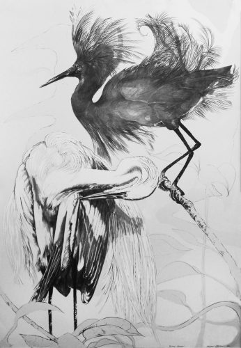 “Black Egret” by Ellen Lanyon at