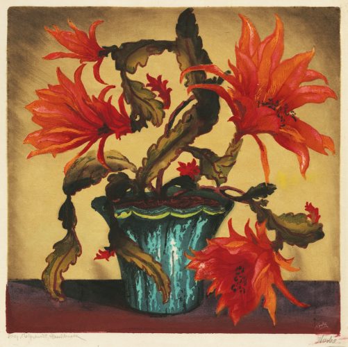 Christmas Cactus by Hugo Noske