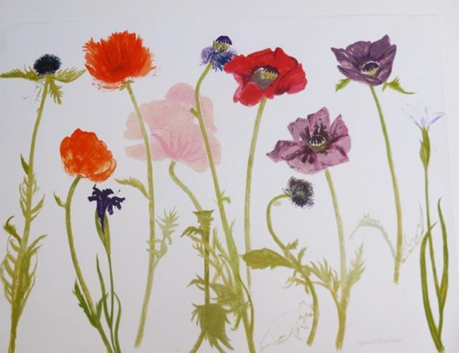 Oriental Poppies by Elizabeth Blackadder