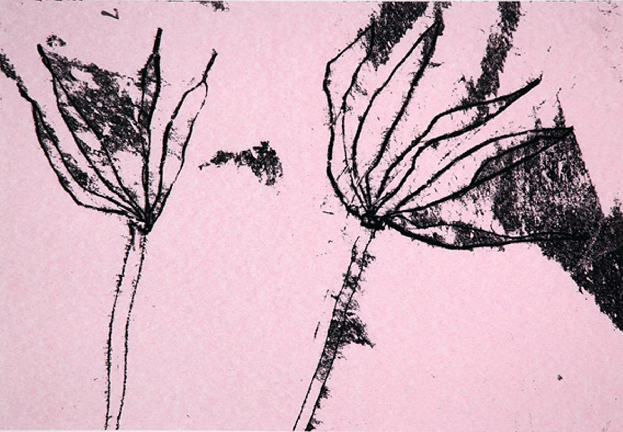 Chinese Paper Flowers by Prunella Clough