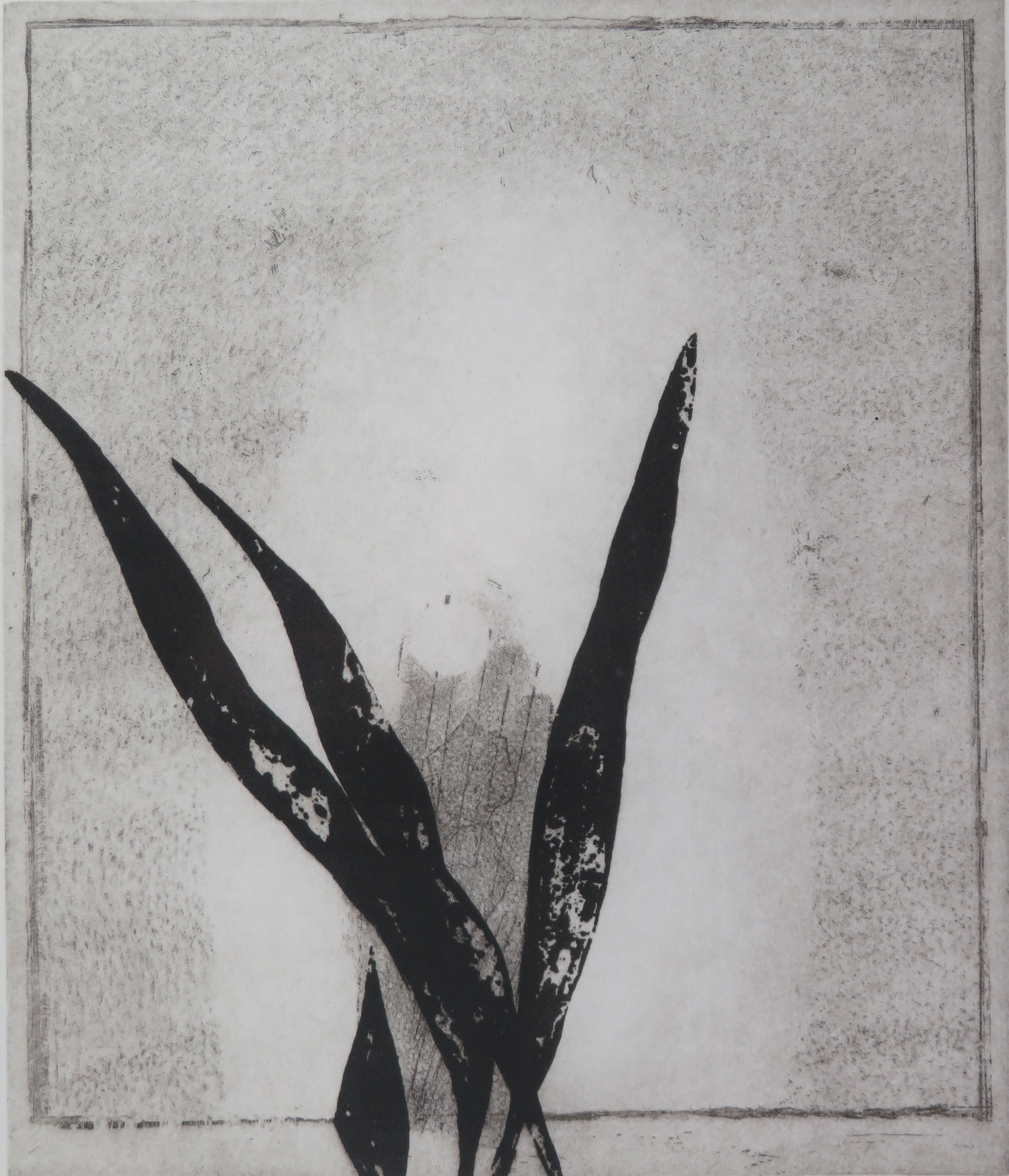 Mirror and Plant by Prunella Clough