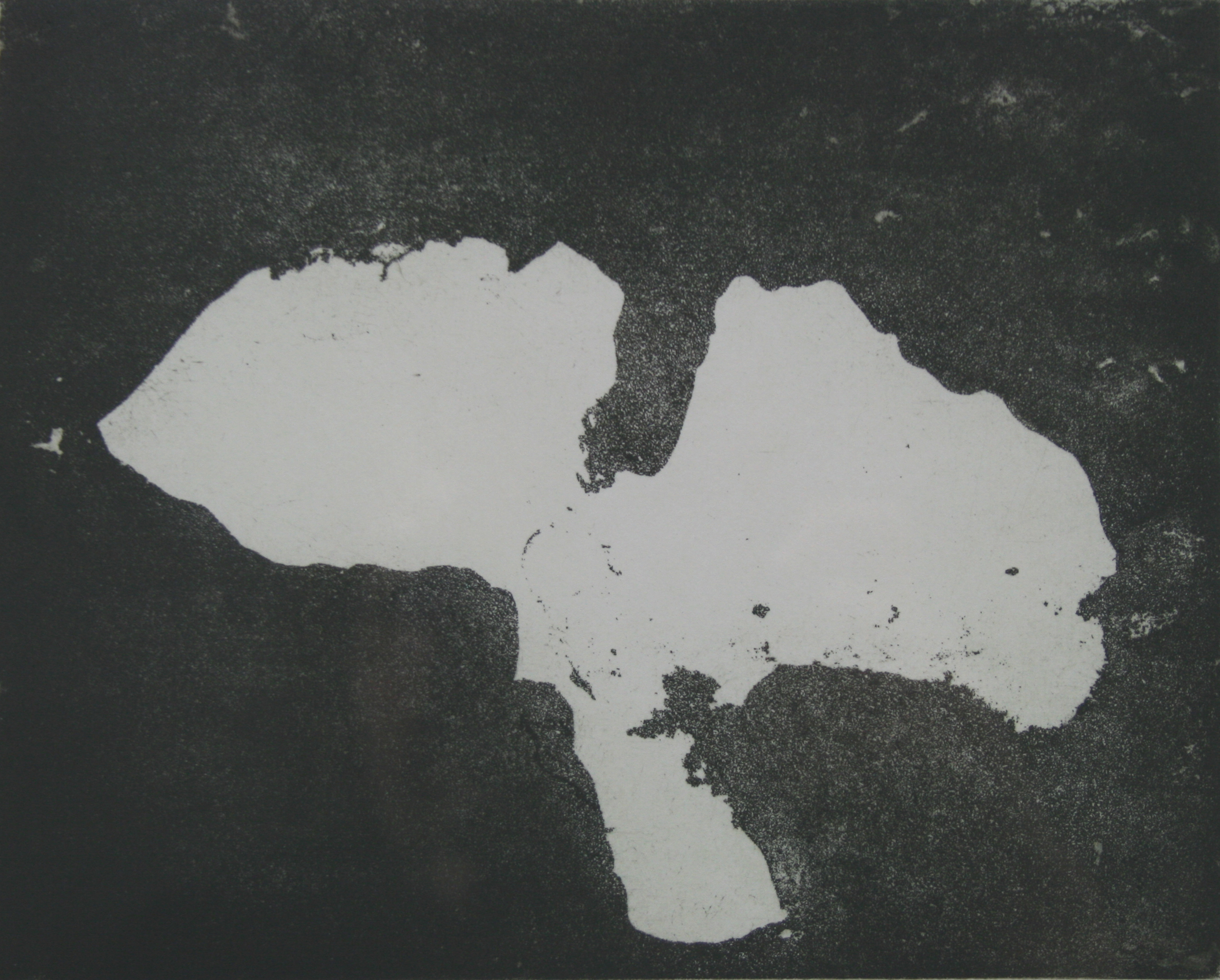 Primitive Plant by Prunella Clough