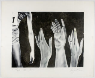 Flower Garden (color trial proof) by James Rosenquist at Petersburg Press