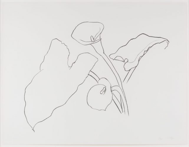 Calla Lily I, from the Series of Plant and Flower Lithographs by Ellsworth Kelly