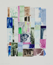 Peek on the Other Side 7 by Sue Oehme at Oehme Graphics