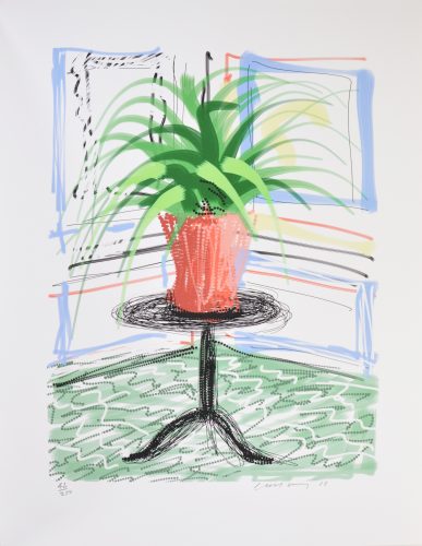 A Bigger Book, Art Edition C by David Hockney
