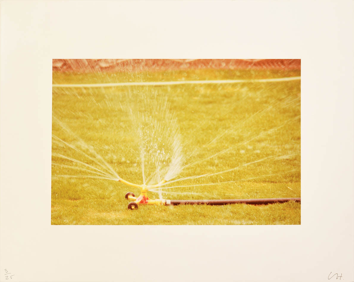 Untitled (Sprinkles) by David Hockney