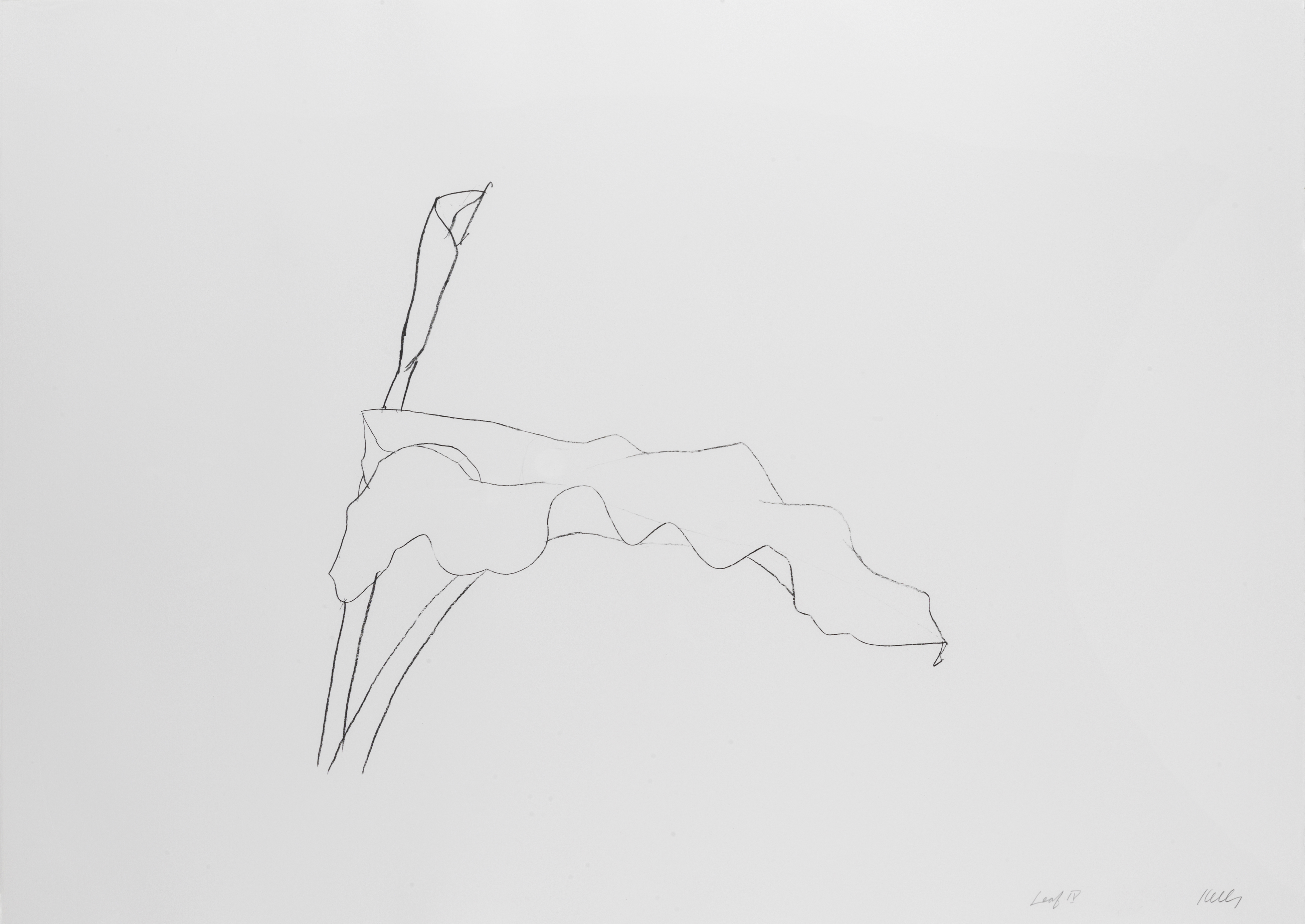Leaf Iv by Ellsworth Kelly