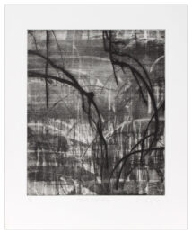 Black Branching by Michael Mazur at Krakow Witkin Gallery