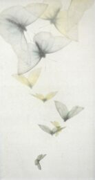 Descente by Mikio Watanabe at ebo Gallery