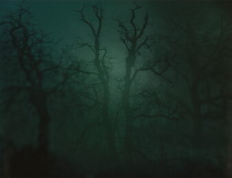 In Darkness Visible no. 14 [Verse I] by Nicholas Hughes at Dellasposa
