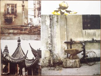 Lotus III (The Lotus Series) by Robert Rauschenberg at Leslie Sacks Gallery