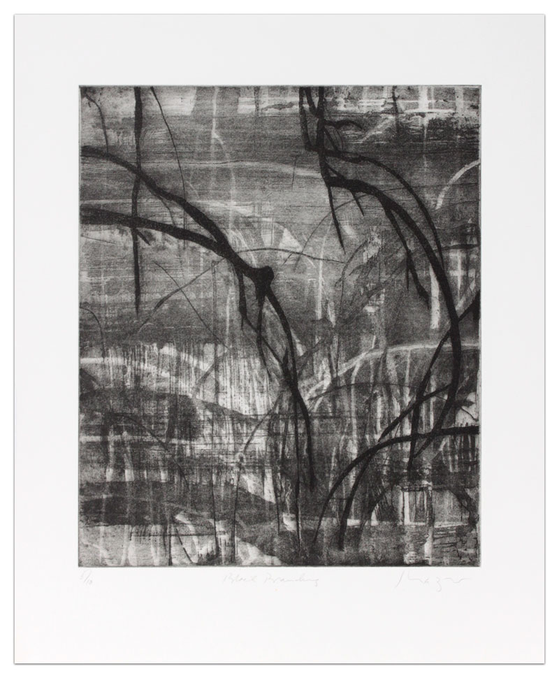 Black Branching by Michael Mazur