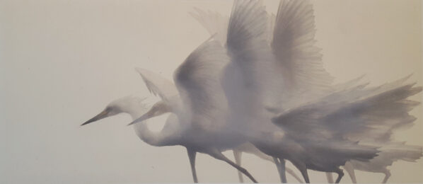 Viser vers (Aim towards) by Mikio Watanabe at ebo Gallery