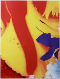 Close Up 2 by Marc Quinn at Leslie Sacks Gallery