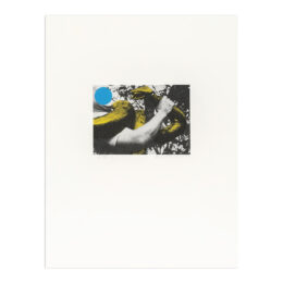 Man with Snake (Blue and Yellow) by John Baldessari at MLTPL