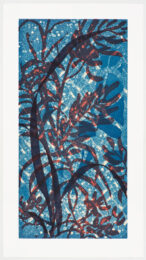 Stardust by Elisabeth Condon at Graphicstudio