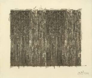 Two Flags by Jasper Johns at Susan Sheehan Gallery