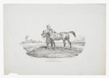 An Arabian Horse by Théodore Géricault at Emanuel von Baeyer - Cabinet