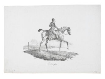 Cheval anglais (An English Horse) by Théodore Géricault at Emanuel von Baeyer - Cabinet