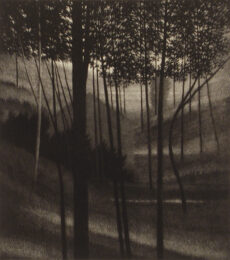 Seclusion by Robert Kipniss at ebo Gallery