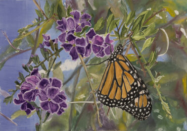 Tender Nectar 3 by Sari Davidson at Oehme Graphics