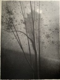 Three trees w/moon by Robert Kipniss at ebo Gallery