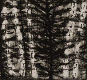 Birches (B&W) by Katherine Bowling at Oehme Graphics