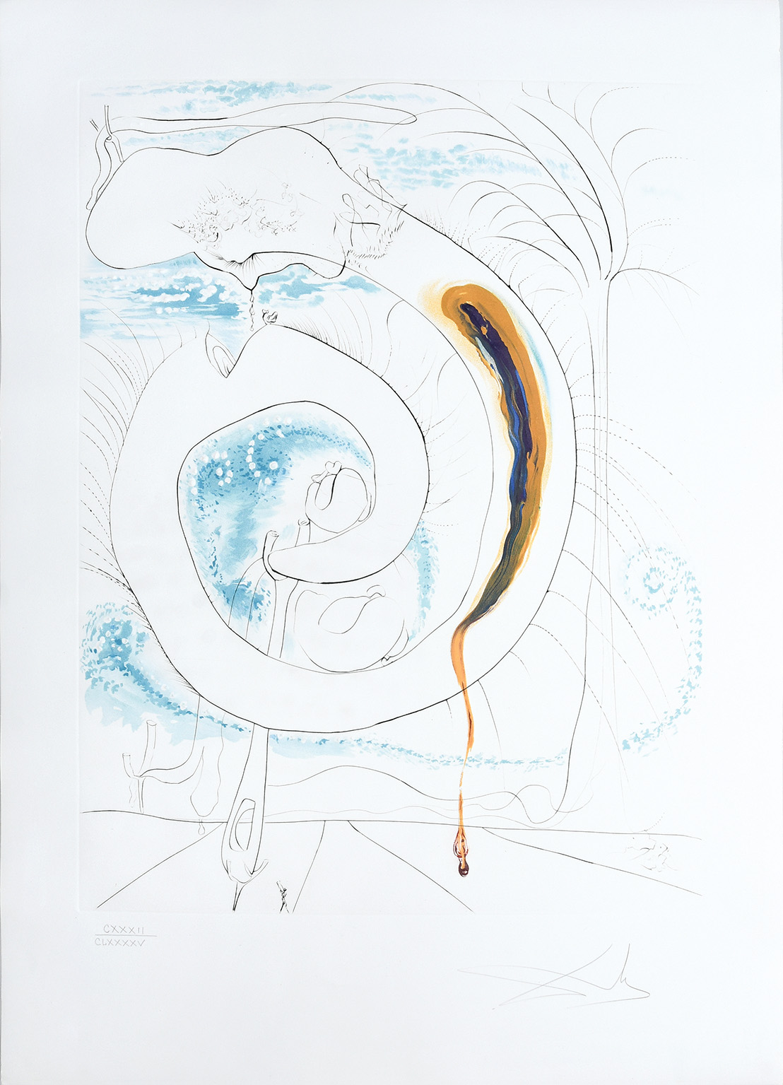 Le Cercle viscéral du cosmos. (The Visceral Circle of the Cosmos.) by Salvador Dalí