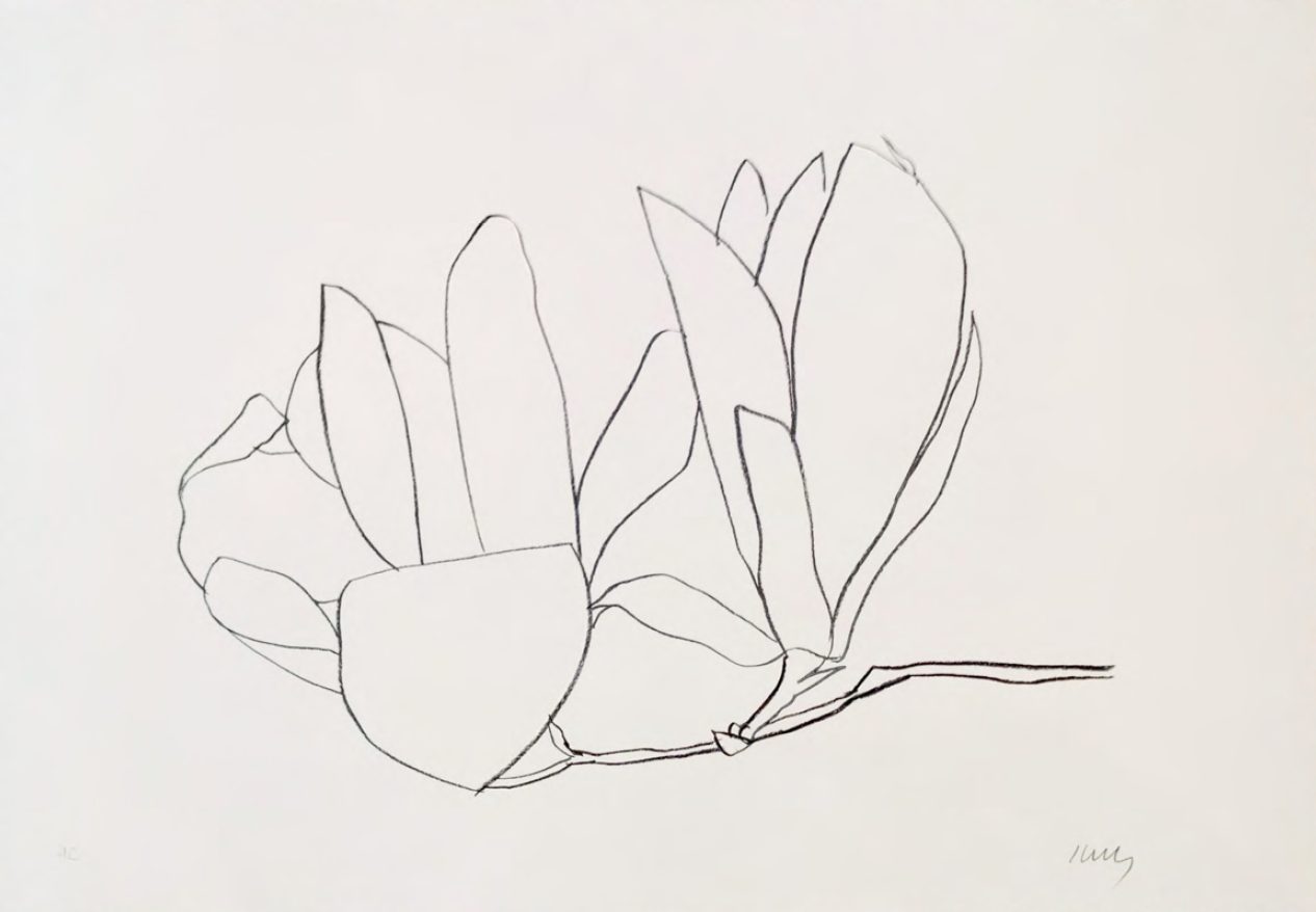 Magnolia by Ellsworth Kelly