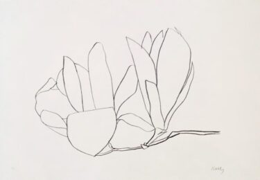 Magnolia by Ellsworth Kelly at Sims Reed Gallery (IFPDA)