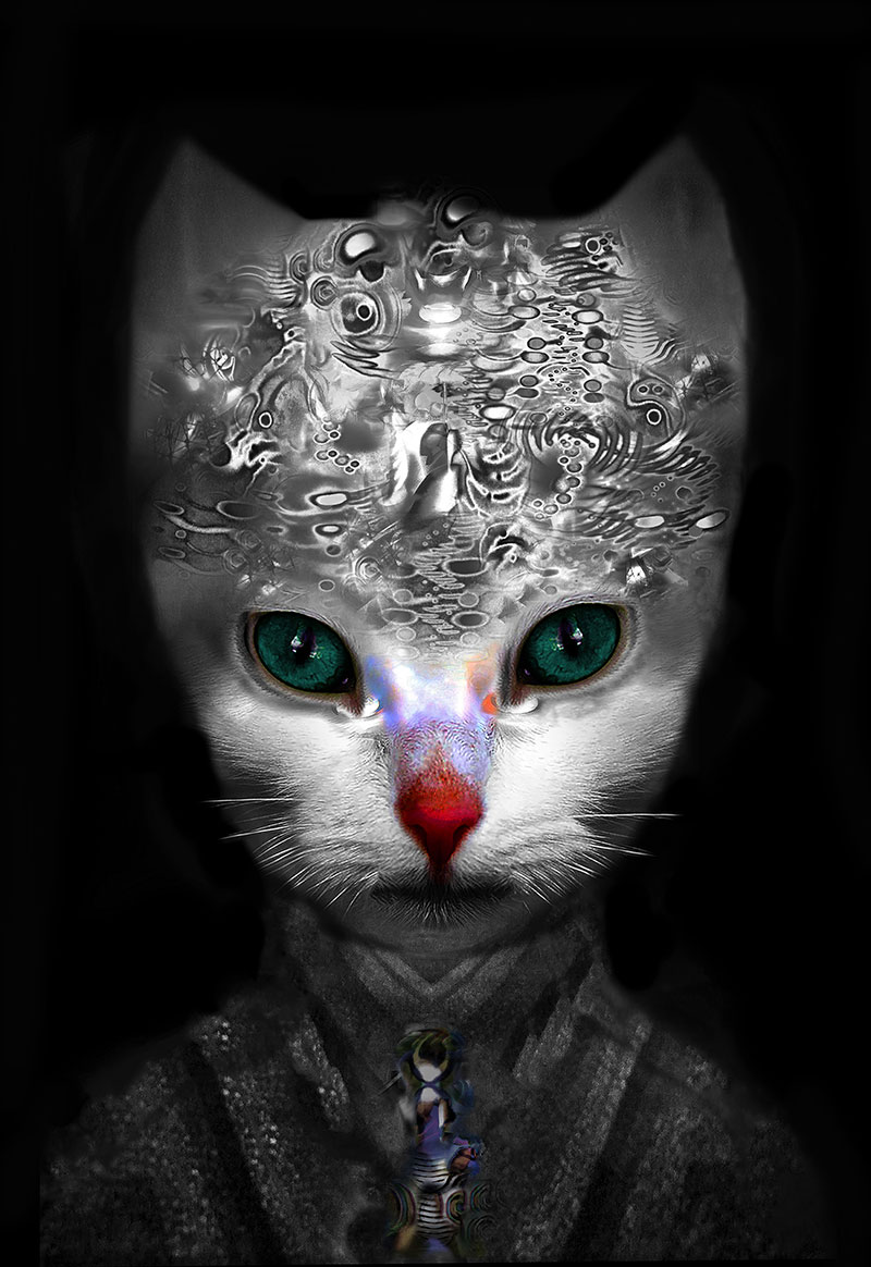 Cat #9 by Gary Justis