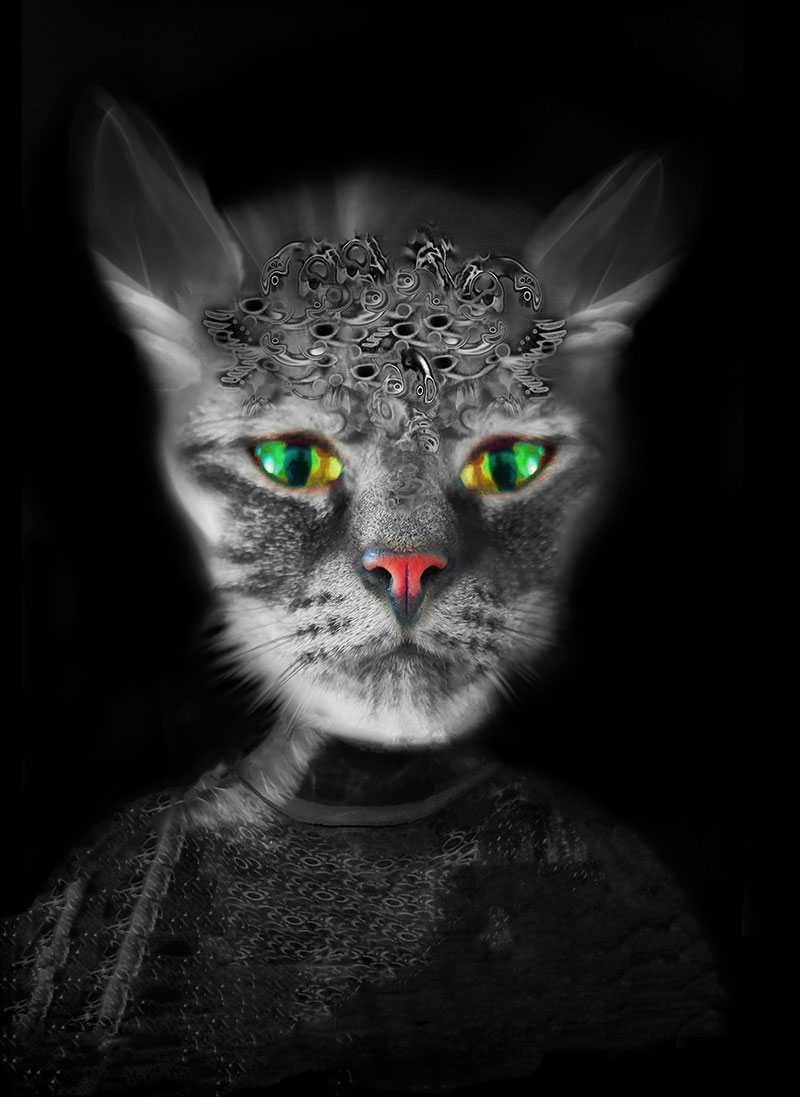 Daguerre by Gary Justis