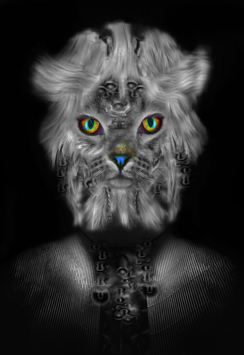 Jimmy by Gary Justis