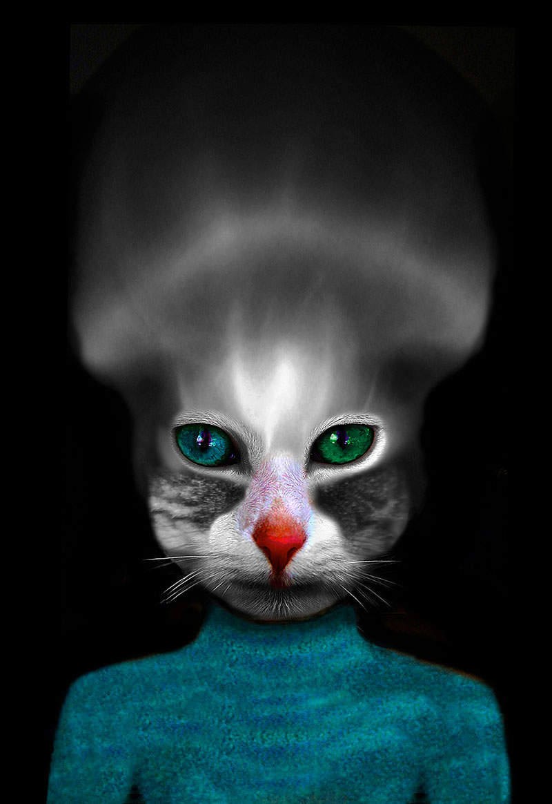 The Sweater by Gary Justis