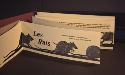 Les Rats by Judith Rothchild at Emanuel von Baeyer - Cabinet
