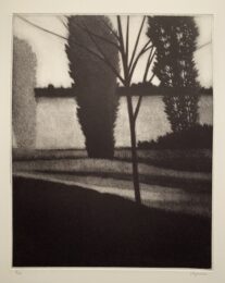 Sapling & three trees by Robert Kipniss at ebo Gallery
