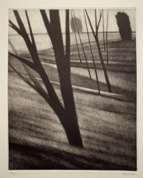 Slope w / seven trees by Robert Kipniss at ebo Gallery