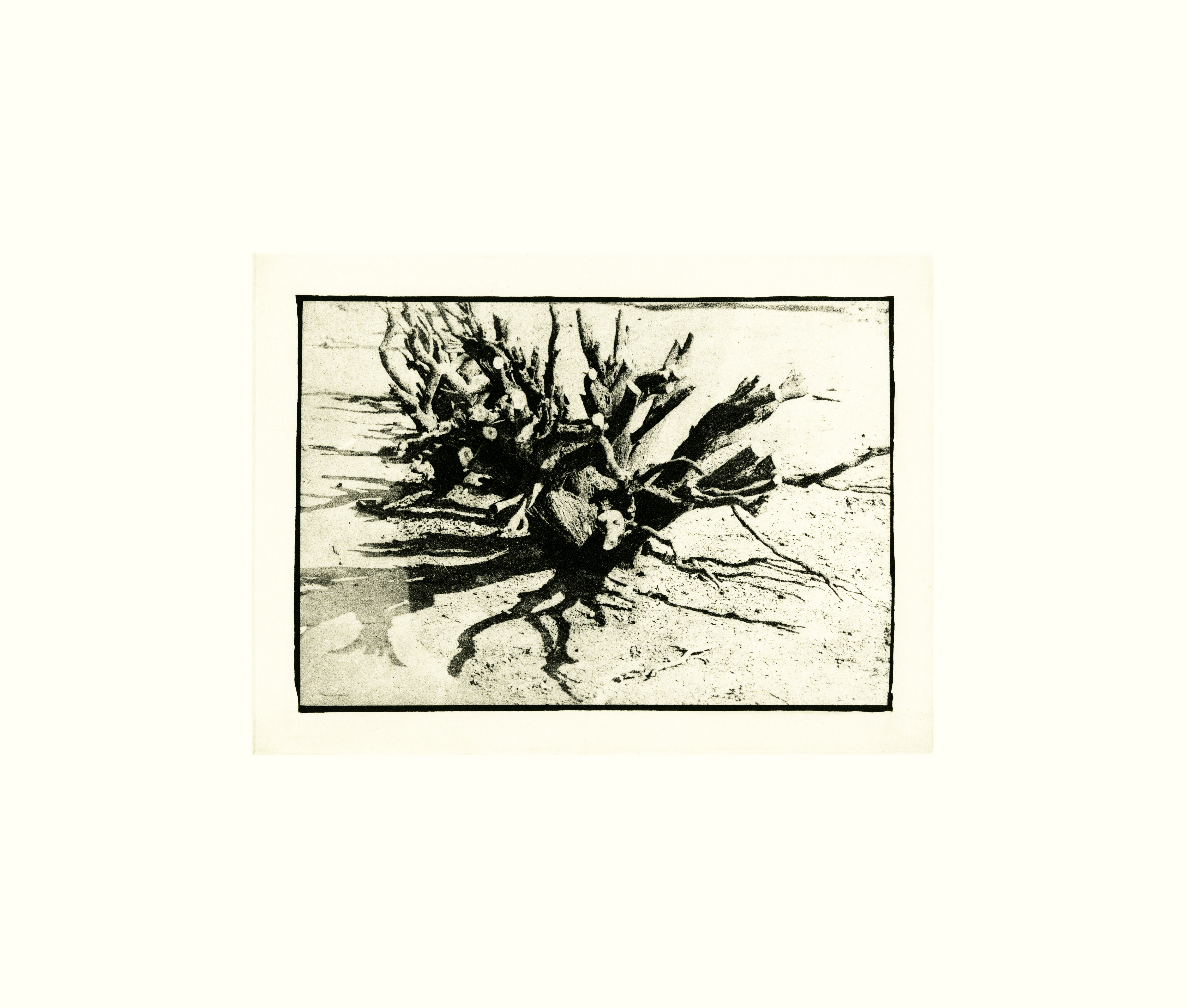 Untitled ii by David Lynch
