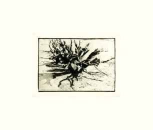 Untitled ii by David Lynch at Tandem Press (IFPDA)